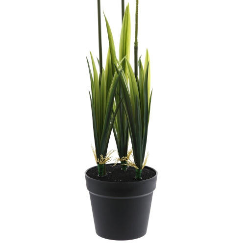 Цветочная композиция "Орхидея", L20 W20 H118 см фото 5