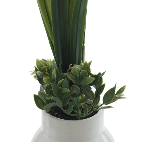 Цветочная композиция "Орхидея", L31 W16 H60 см фото 4