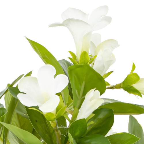 Цветочная композиция "Примула", L17 W17 H24 см фото 2 Цветочная композиция "Примула", L17 W17 H24 см фото 2