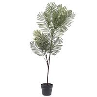 Цветочная композиция "Пальма", L75 W55 H120 см